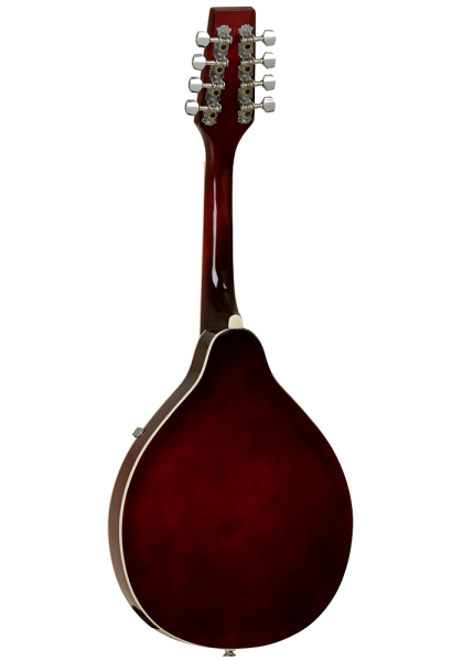 Tanglewood TWM T WR